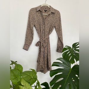 Long sleeve, button down dress by Ann Taylor, Size Small 🐆
